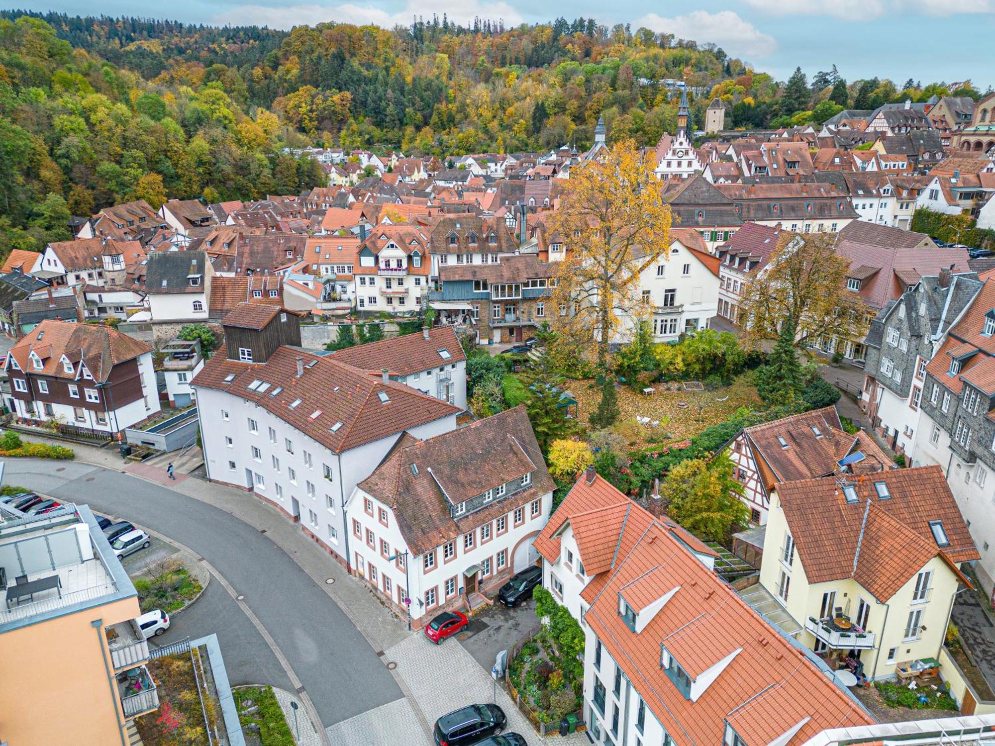 Lit Living Weinheim Altstadt - Boutique Apartments - Parking エクステリア 写真