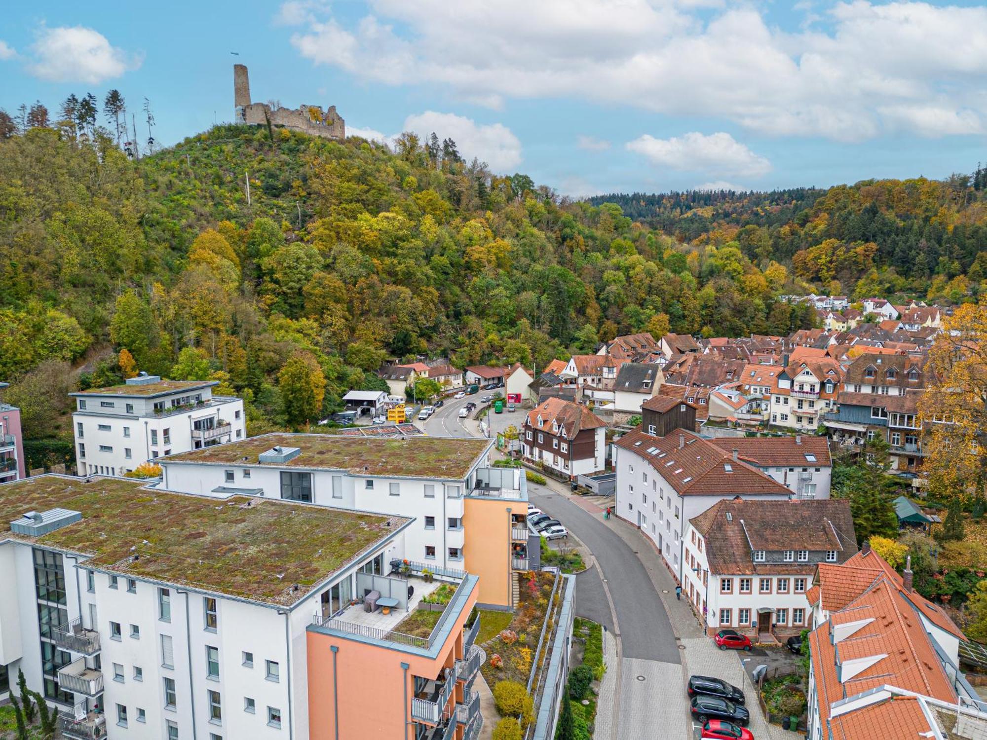 Lit Living Weinheim Altstadt - Boutique Apartments - Parking エクステリア 写真